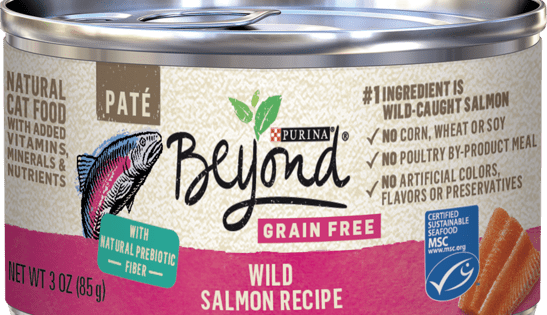 Purina beyond grain free wet cat food reviews 2025